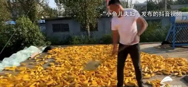 女网红回村说八卦是真的吗-_农村流量真相_千万网红回村躺平